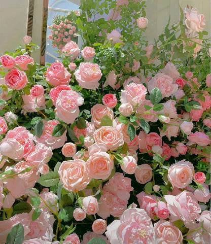 🌹 Fast-Growing Climbing Roses – Beautiful Blooms in Just One Year!