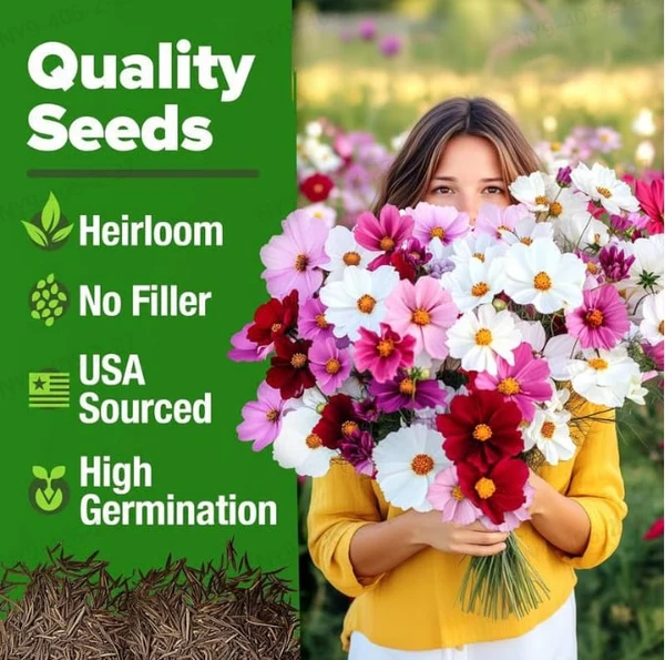 🔥Zinnia Seeds 🌼Grow a Burst of Color in Your Garden (Fast, Easy & Beginner-Friendly)