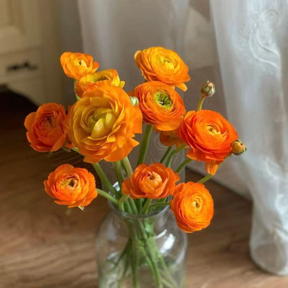 🌸Ranunculus Seeds – 💜Grow Elegant, Rose-Like Blooms in Your Own Garden