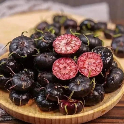 Red ginseng 🍉A magical fruit like pearls