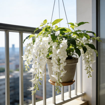 💐 Midnight Perfume Jasmine Seeds – Fragrant Climbing Flowers for Balcony & Garden 🌼