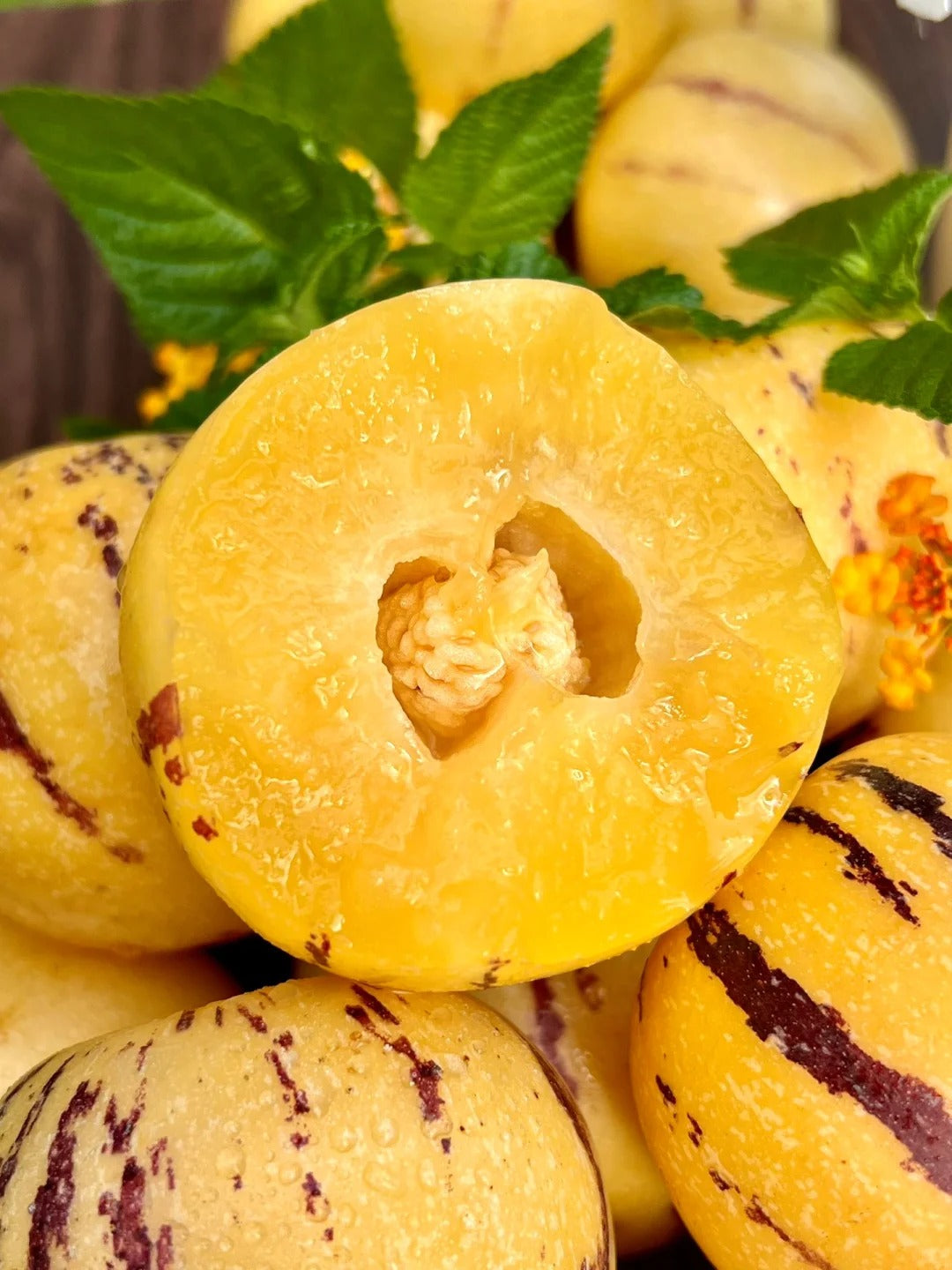 New offers🔥Ginseng Berry Seeds