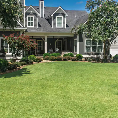 🌿🌿Four Seasons Evergreen Dwarf Grass Seeds – Your Lawn’s New Best Friend☀️