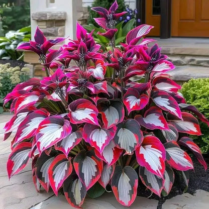 Nothing Grows in Shade? Watch This… 🌿 Turn Dead Corners Into a Lush Garden Paradise