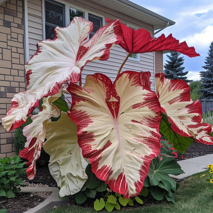 🌈 Turn Any Garden Into a Tropical Masterpiece