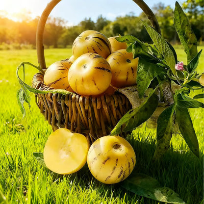 🍈 Grow Sweet, Juicy Melons Right at Home