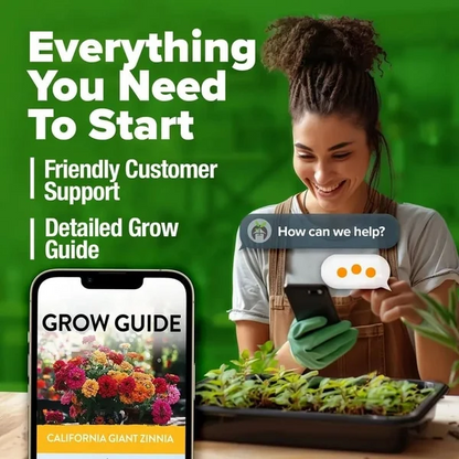 🔥Zinnia Seeds 🌼Grow a Burst of Color in Your Garden (Fast, Easy & Beginner-Friendly)