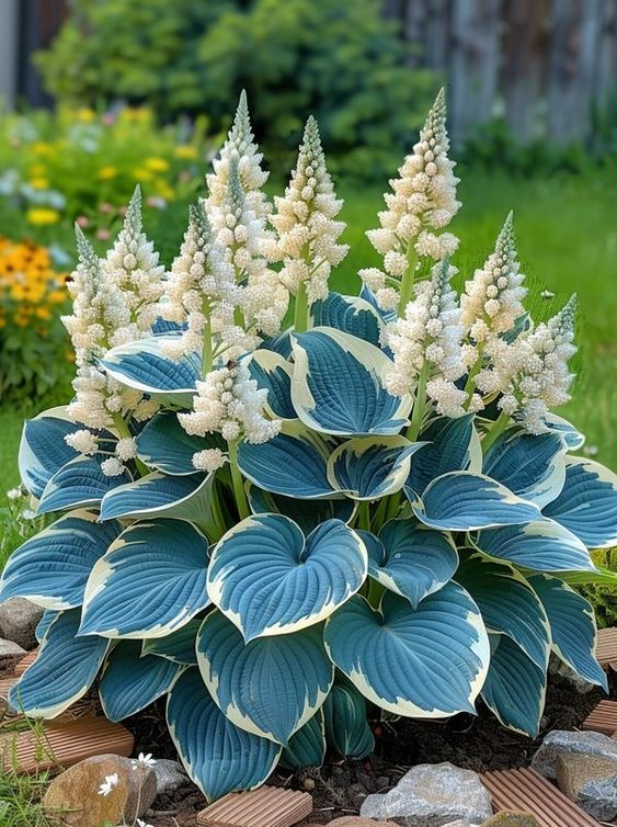 Cyan Blue