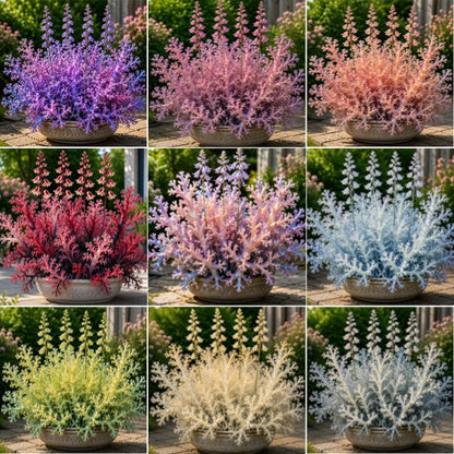 🏠🪸 Coral Reef Hosta Bulbs 🌿 Add Color & Texture to Shady Gardens
