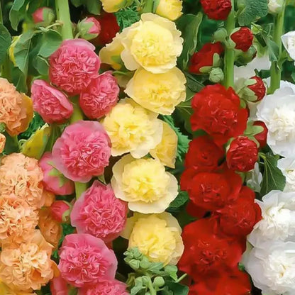 🌸 Grow a Garden That Gets Better Every Year