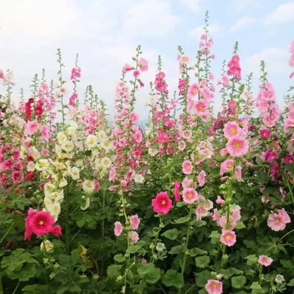 🌸 Grow a Garden That Gets Better Every Year