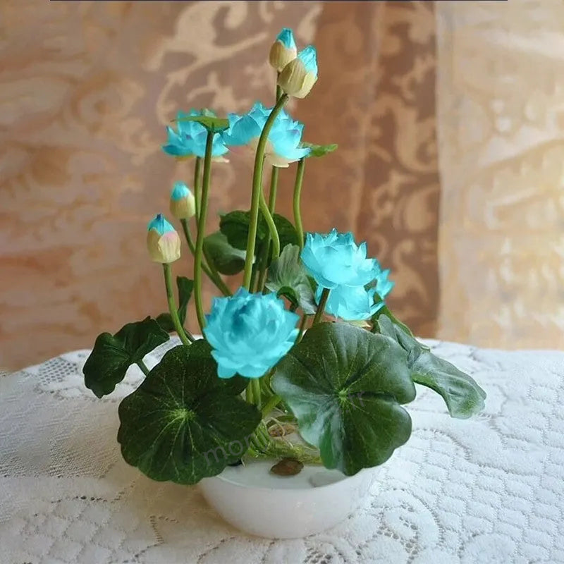 🎁50% Discount🌺The sacred lotus flower in bonsai