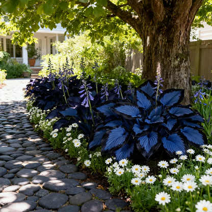 🌿Rare Premium Hosta Bulbs– Easy to grow🌸Transform Your Garden!