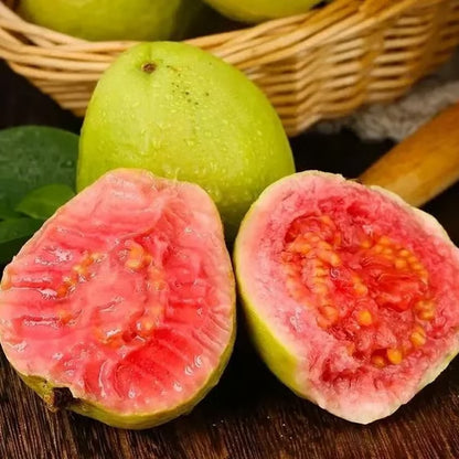 🔥Organic Pink Guava Seeds | 🌿Pre-Primed for High Germination (99% Germination)