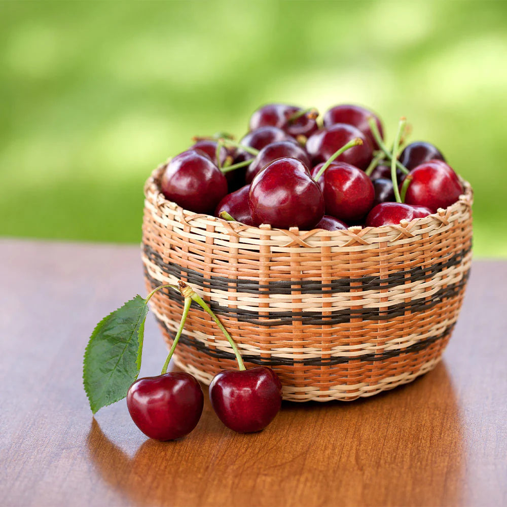 𝜗𝜚🍒ᝰ.ᐟStar your garden with premium Chilean Cherry Seeds for healthy growth and consistent yields 🌿