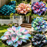 🌈Set Of 6 Colors (🎁Best Price)