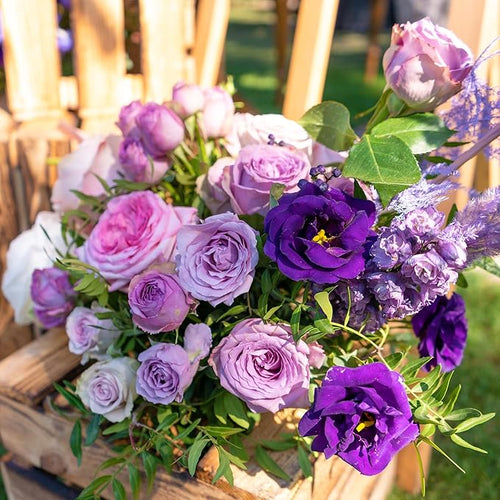 🌷Lisianthus Seeds - Blooming Elegance