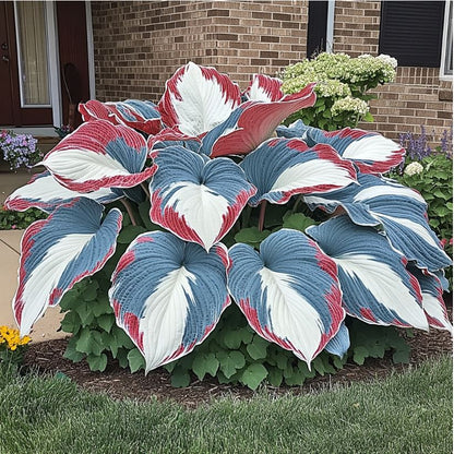 🌿Rare Premium Hosta Bulbs– Easy to grow🌸Transform Your Garden!