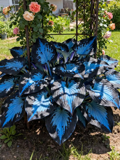 🌈 STOP Scrolling… Your Garden Is About to Get ADDICTIVELY Colorful 😍