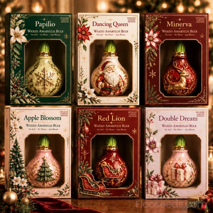 🔥 No Soil! No Water! Just Blooms! 🎄🌺 Watch These Holiday Waxed Amaryllis Bulbs Come to Life!