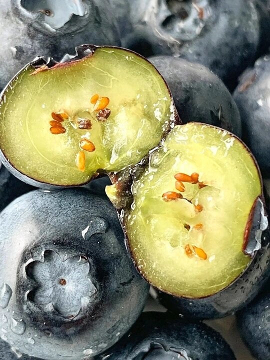 🌸Spring Sale🫐Giant Blueberry Seeds
