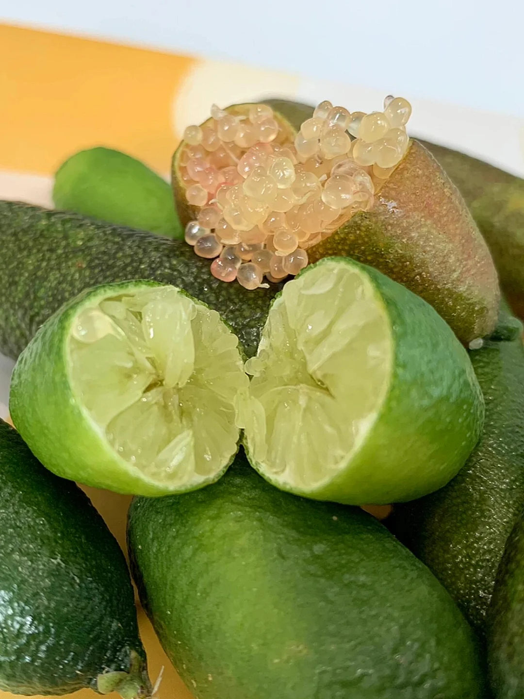 50% Discount-🍋Lemon Caviar! 🪴Lemon Seeds with Your fingers