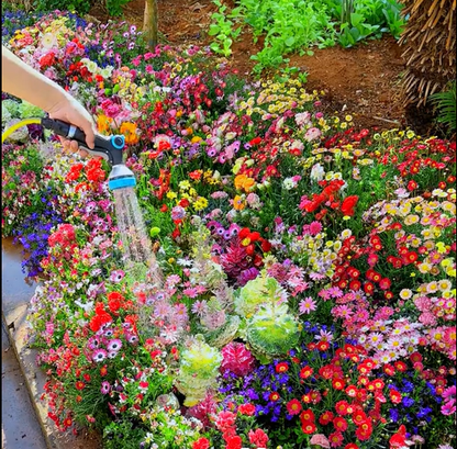 🌸 All-Season Mixed Perennial Flowers Seeds – 90+ Varieties, Bloom All Year!