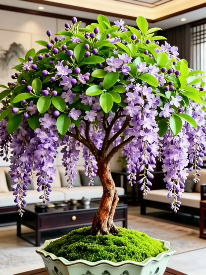 🌸【7 days germination】Last Day Up to 50% OFF💐Rare Weeping Jasmine Flowers Bulbs