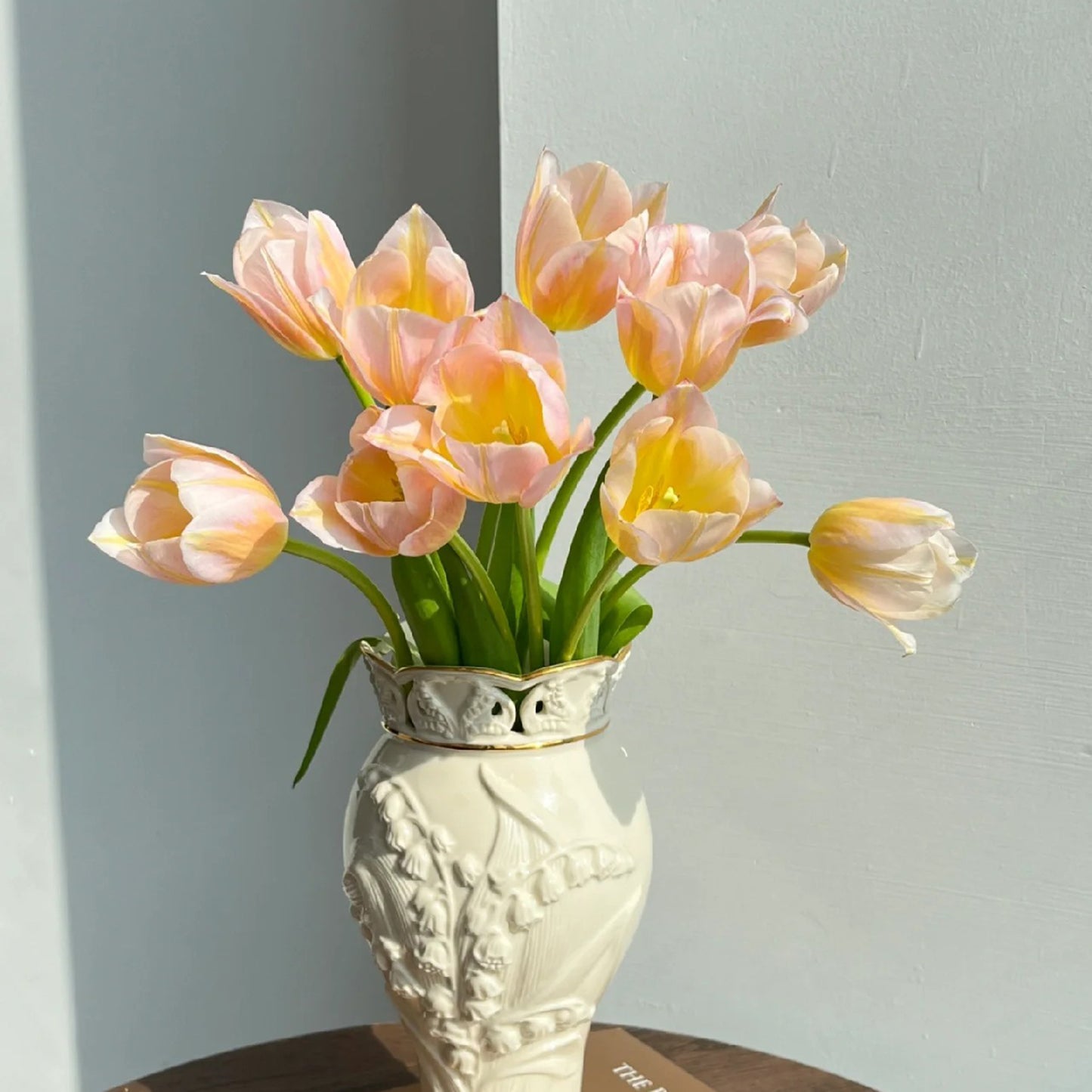 💥Spring NEW🌷Tulips "first love"seeds