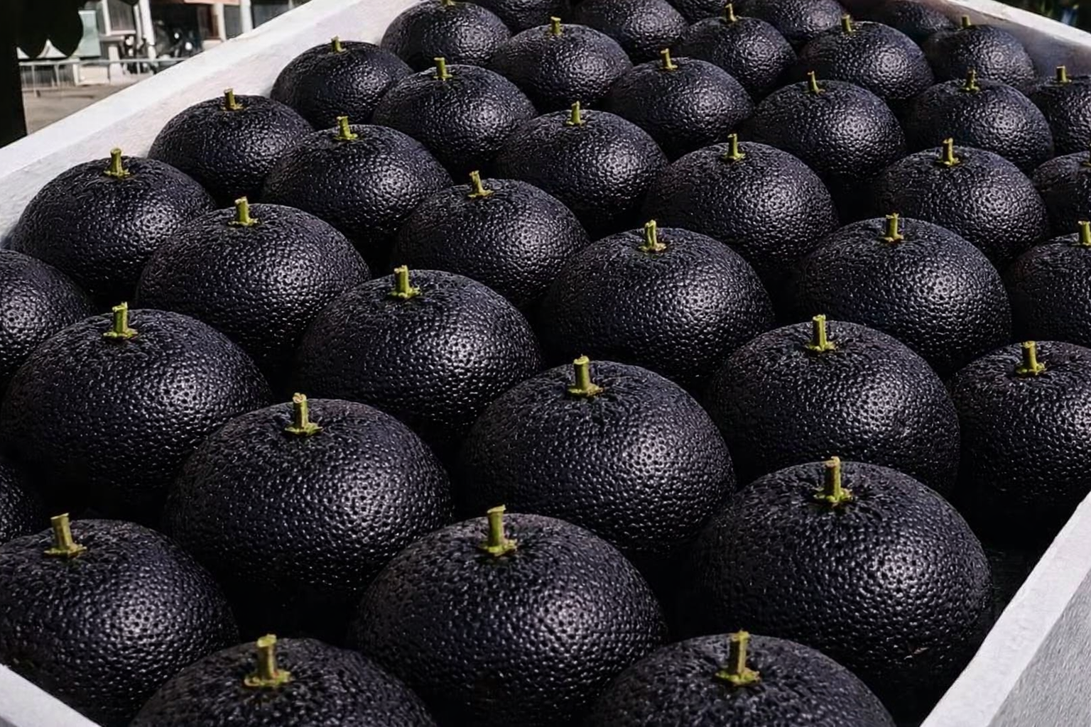 Giant Black Diamond Orange Seeds – Sweet, delicious, nutritious, and easy to grow at home.