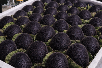 🥝Black Diamond Ruby Kiwi Seeds – Sweet, Nutrient-Rich & Easy to Grow at Home