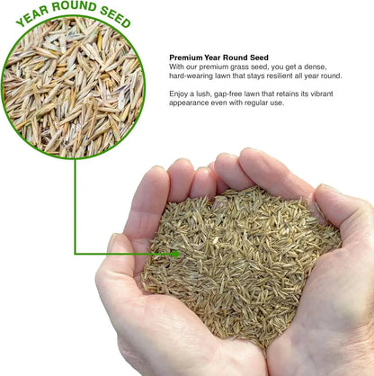 🔥🌿All-Season EverGreen Grass Seeds Mix 🌿