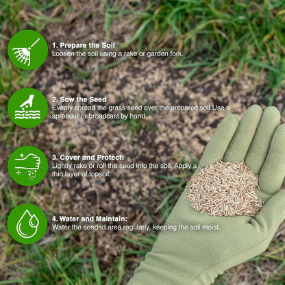 🔥🌿All-Season EverGreen Grass Seeds Mix 🌿