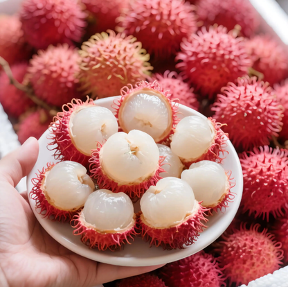 Rambutan Seeds 🌱 Plant Once, Harvest Sweet Tropical Fruit All Season 😋