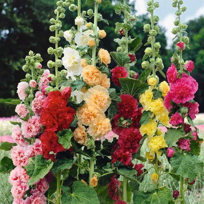 🌸 Grow a Garden That Gets Better Every Year