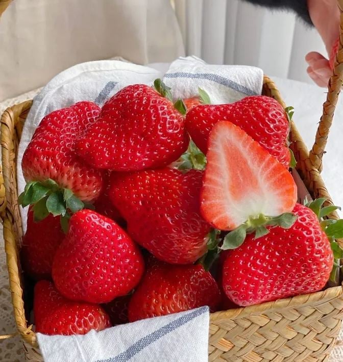 All-Year-Round Creamy Strawberry Seeds🍓