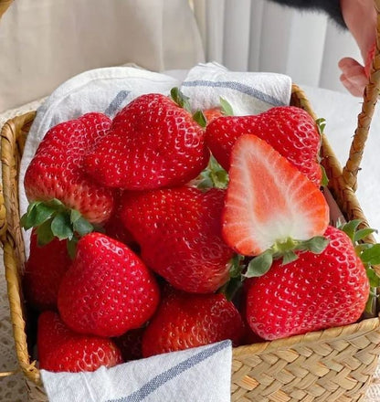 All-Year-Round Creamy Strawberry Seeds🍓