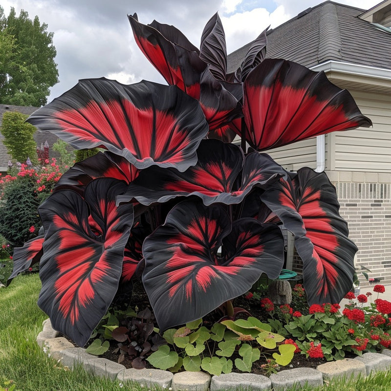 🌈 Turn Any Garden Into a Tropical Masterpiece