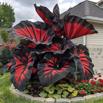 🌈 Turn Any Garden Into a Tropical Masterpiece