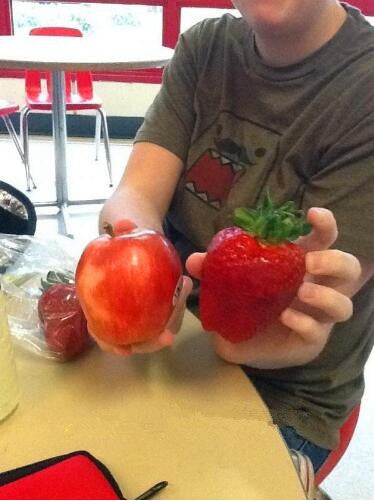 Rare Giant Strawberry Seeds 🍓 Grow Huge, Easy to grow
