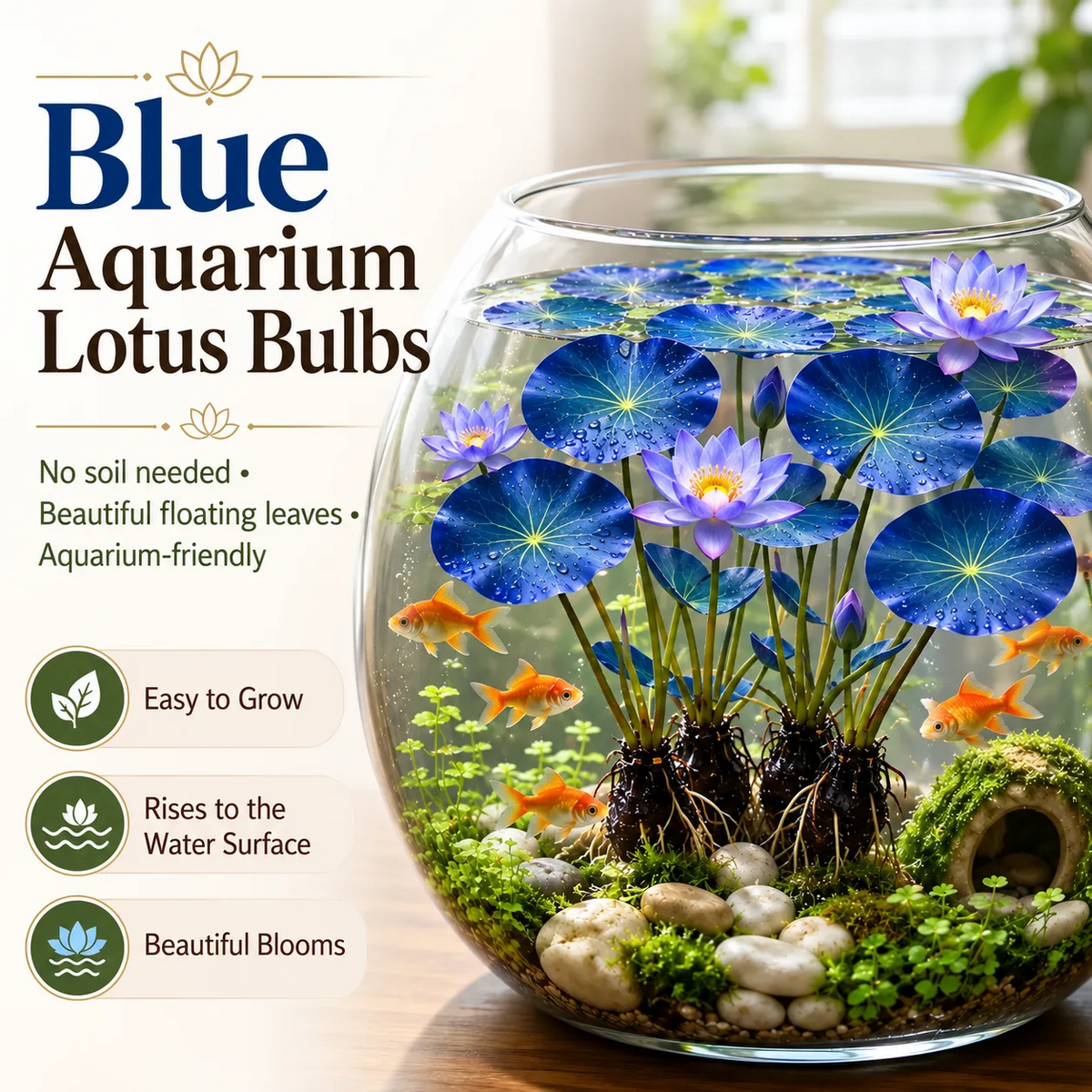 🌿🐟Grow Your Own Colorful Hydroponic Lotus! 🌸🔥 From Aquarium to Underwater Paradise!