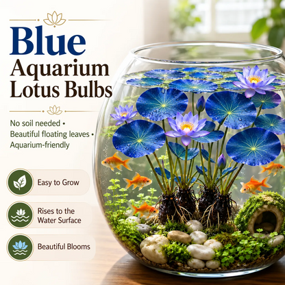 🌿🐟Grow Your Own Colorful Hydroponic Lotus! 🌸🔥 From Aquarium to Underwater Paradise!