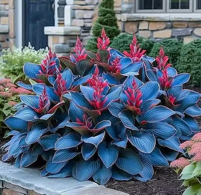 🌈 STOP Scrolling… Your Garden Is About to Get ADDICTIVELY Colorful 😍