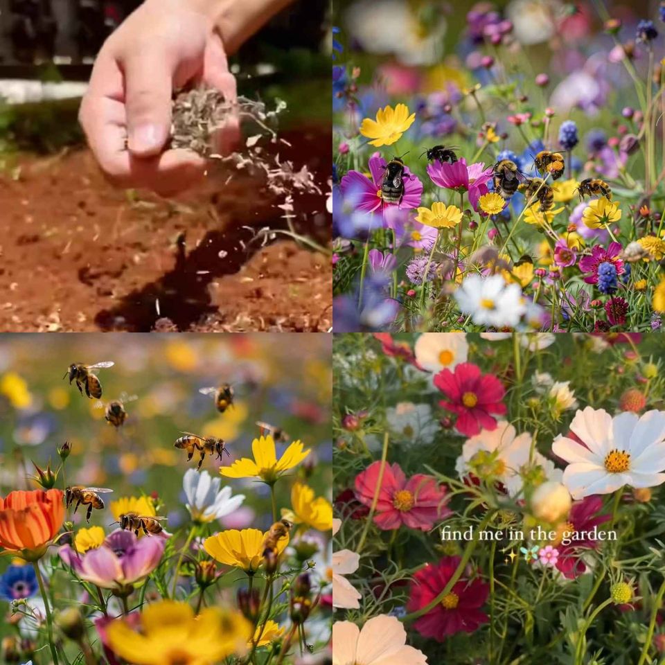 🌸 All-Season Mixed Perennial Flowers Seeds – 90+ Varieties, Bloom All Year!