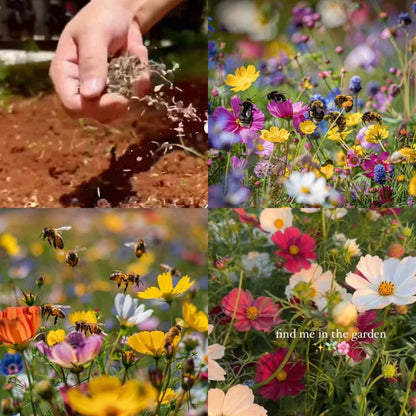 🌸 All-Season Mixed Perennial Flowers Seeds – 90+ Varieties, Bloom All Year!