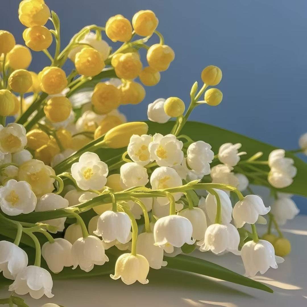 🎐♡Lily of the Valley—Happiness Arrives