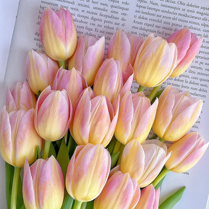 💥Spring NEW🌷Tulips "first love"seeds