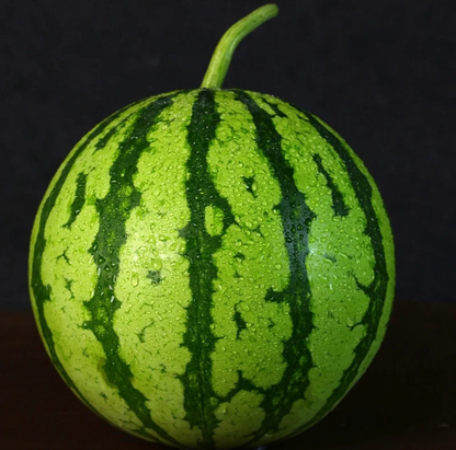 🍉😋Ruby Watermelon Seeds-Grow Your Own Sweety