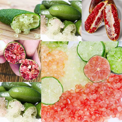 🍋✧˖°Finger Lime Seeds-Citrus Australasica