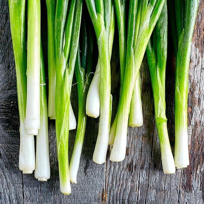 Green Onion seeds